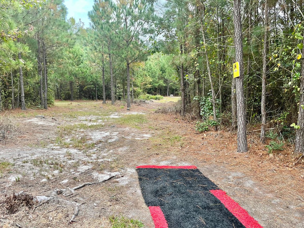 Hole 14 Long Tee