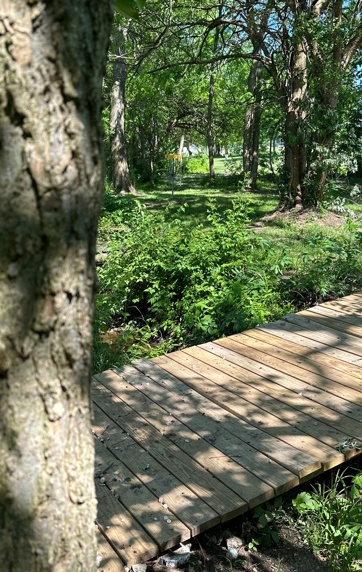 Hole 8