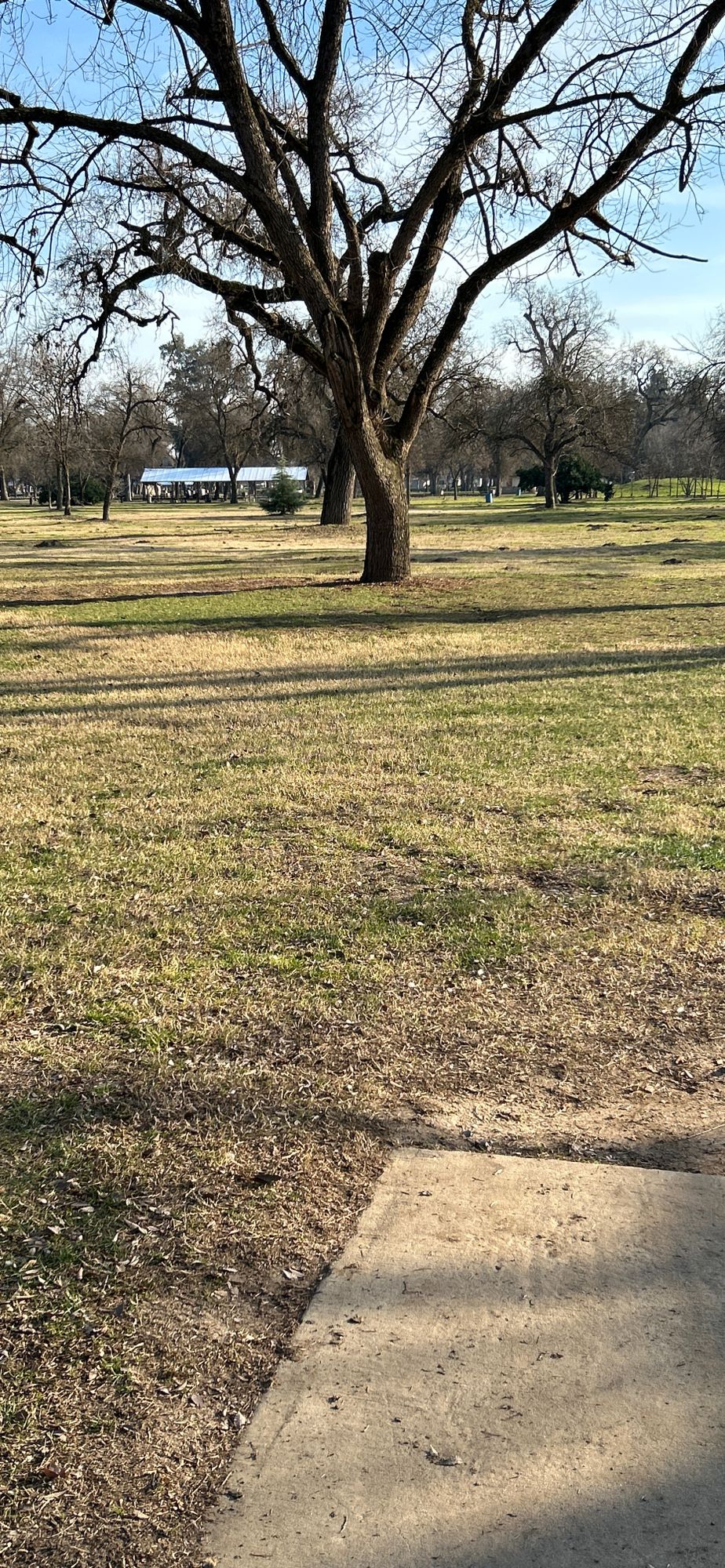 Hole 13