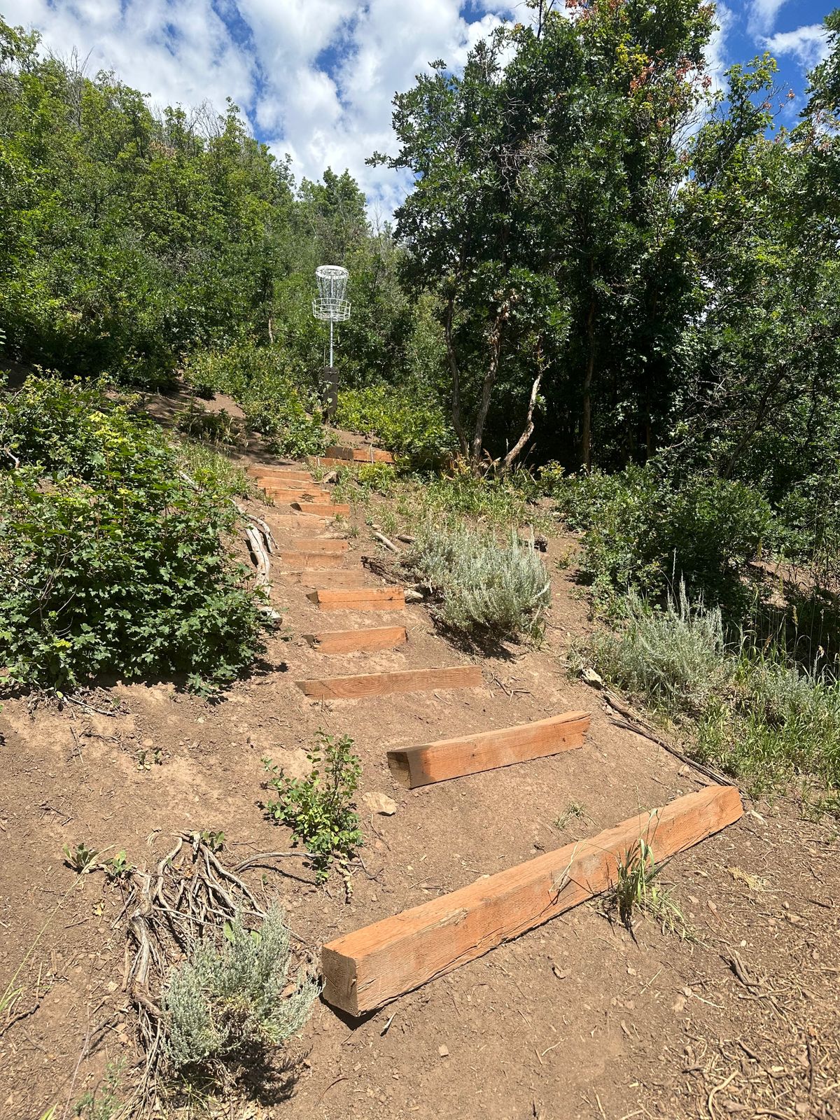 Hole 13