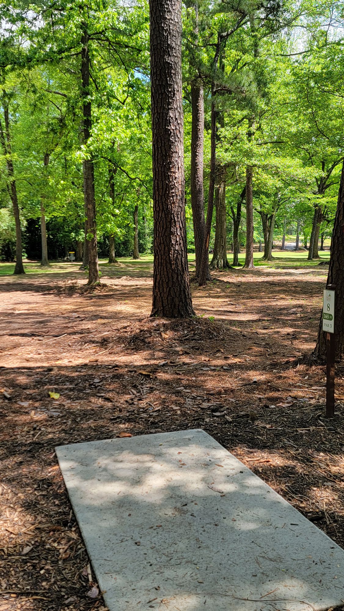 Hole 8