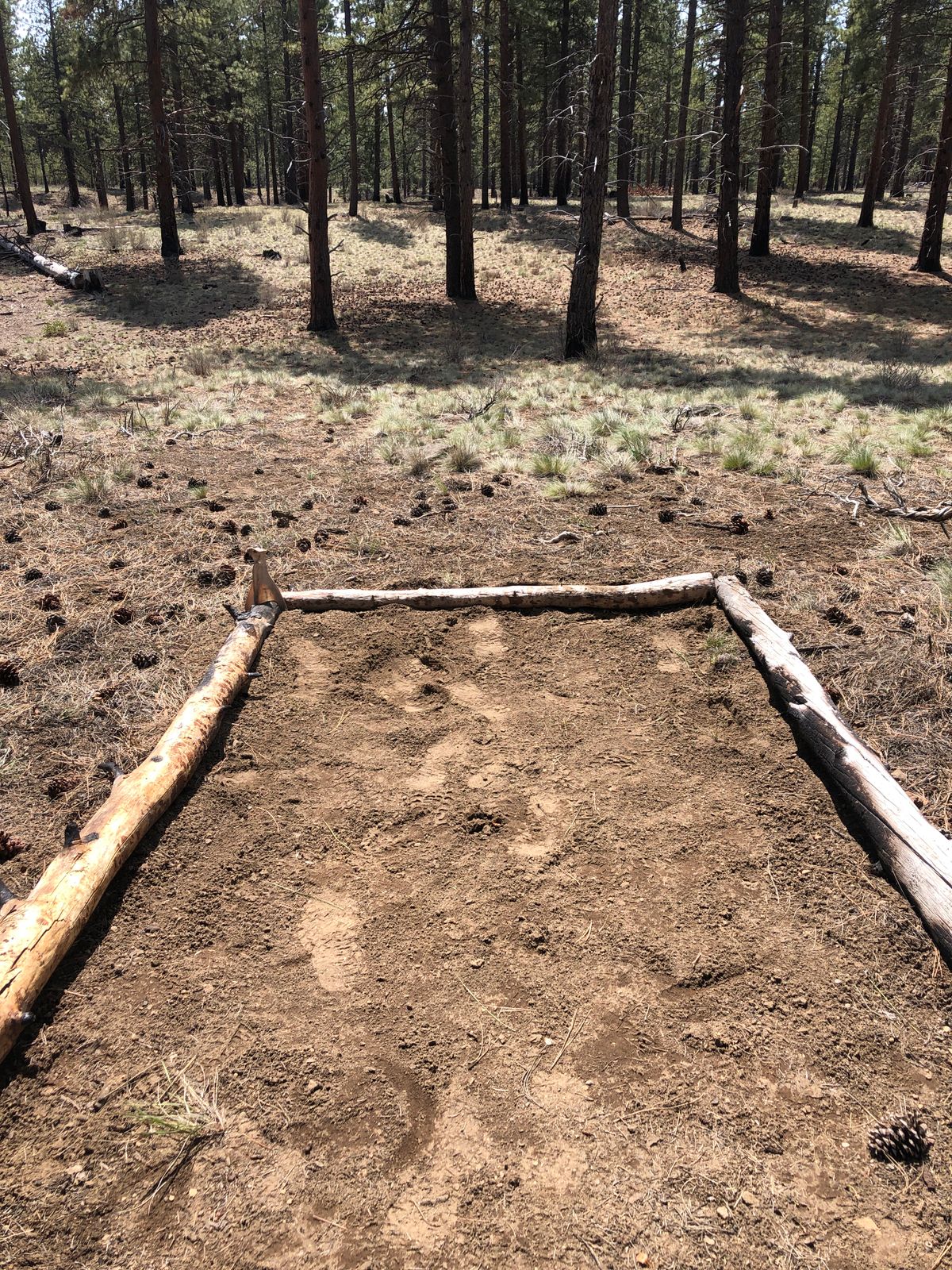 Short tee pad on hole 1