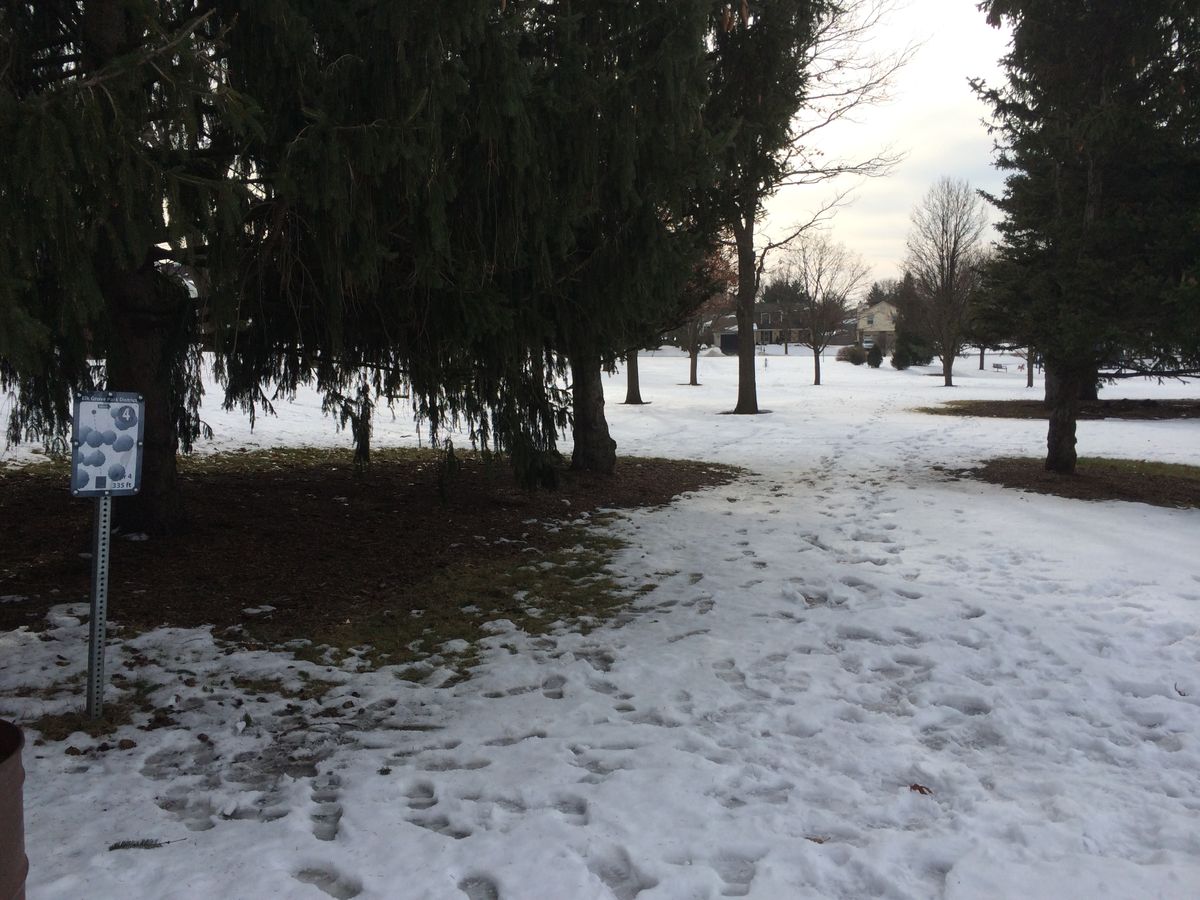 Hole 4
