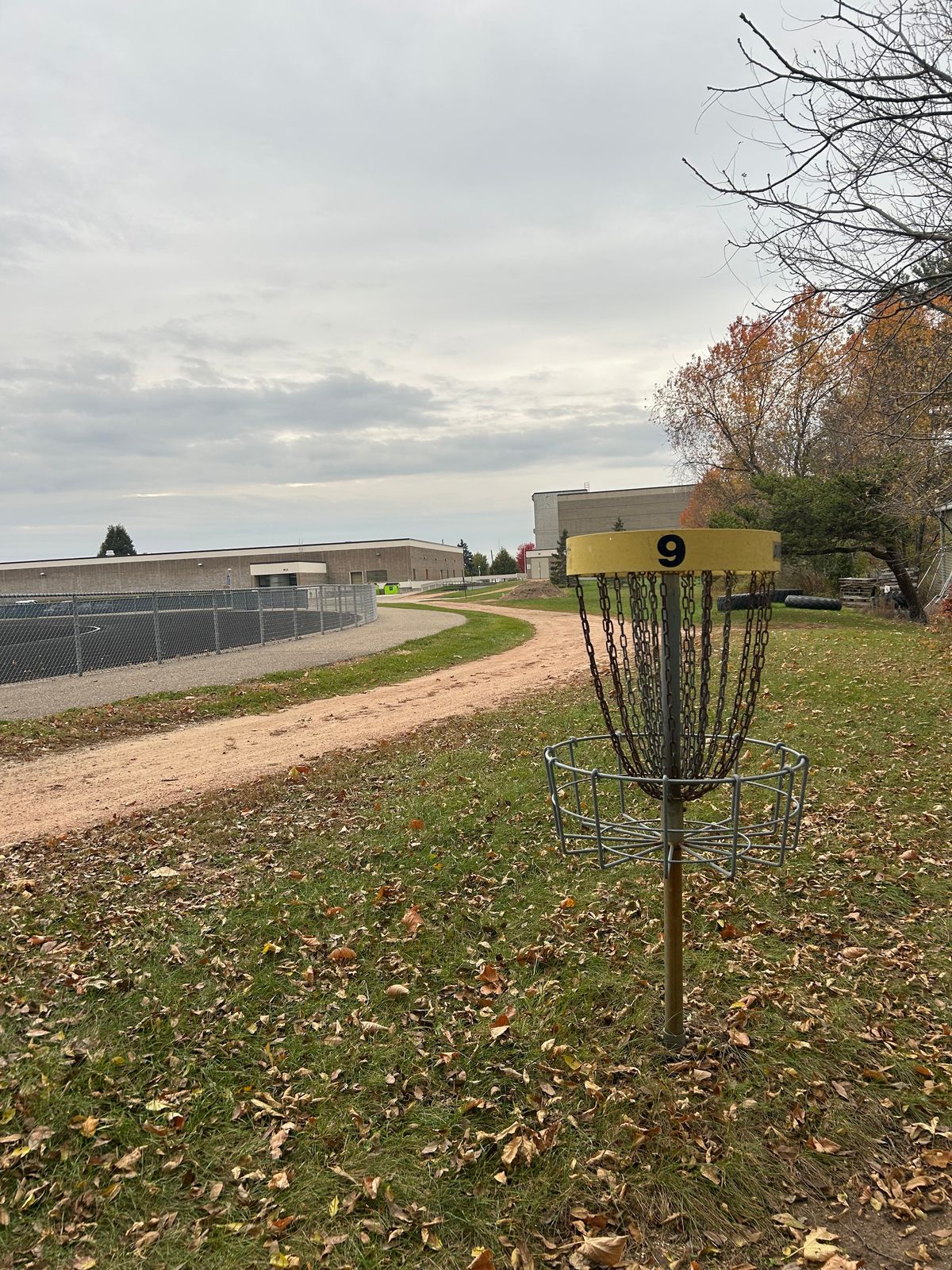 Hole 9 basket - very close to the track