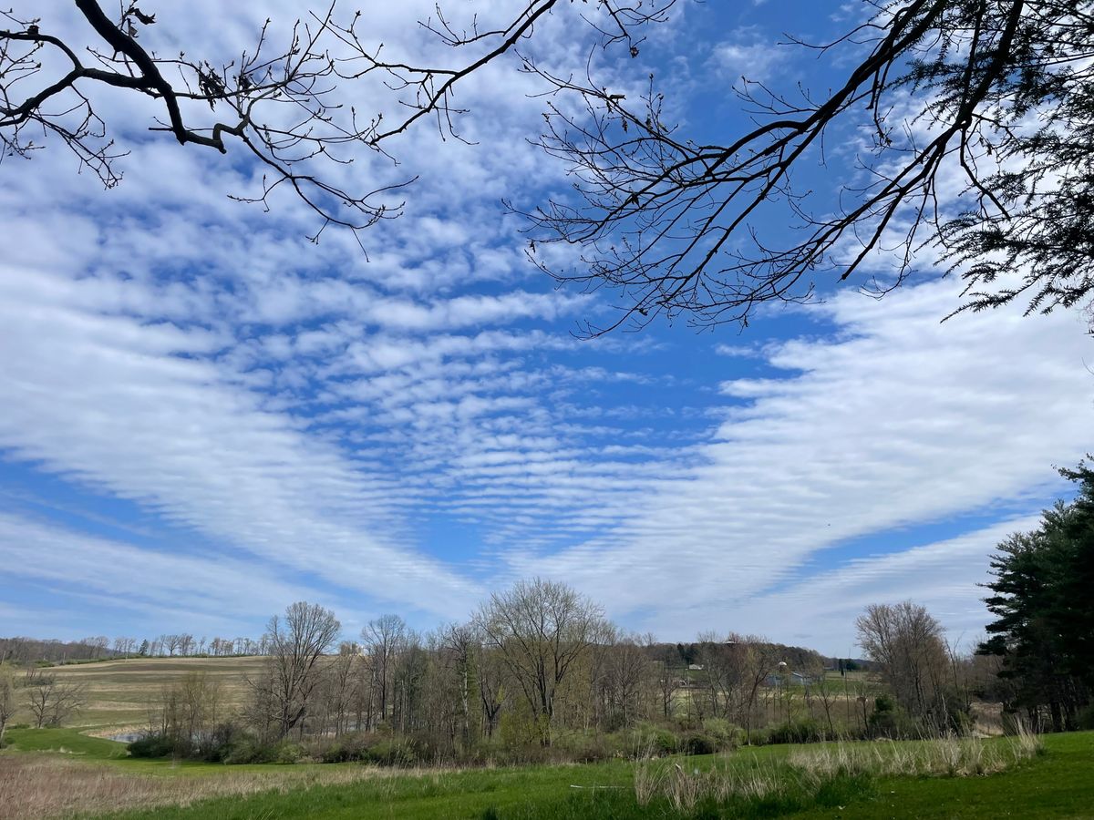 View from the 9th basket. Cool clouds.