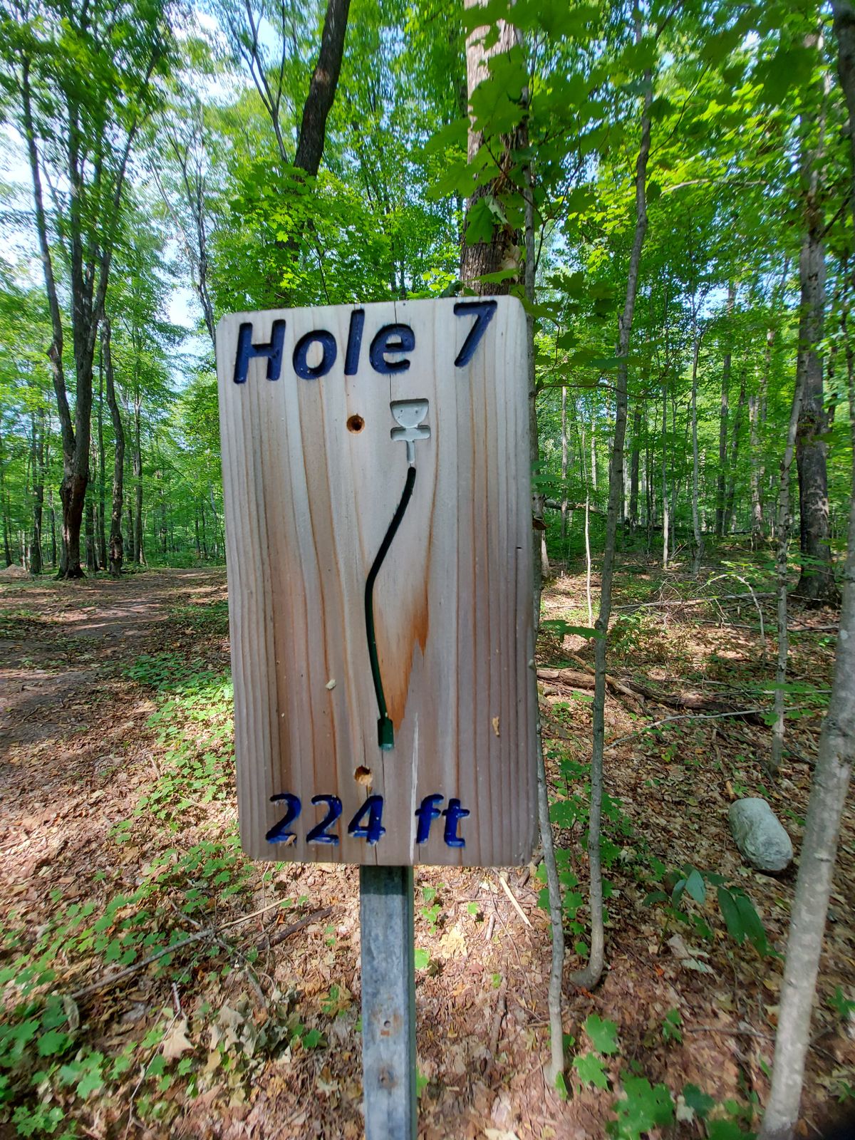Hole sign #7.☘🍀🌳🌱