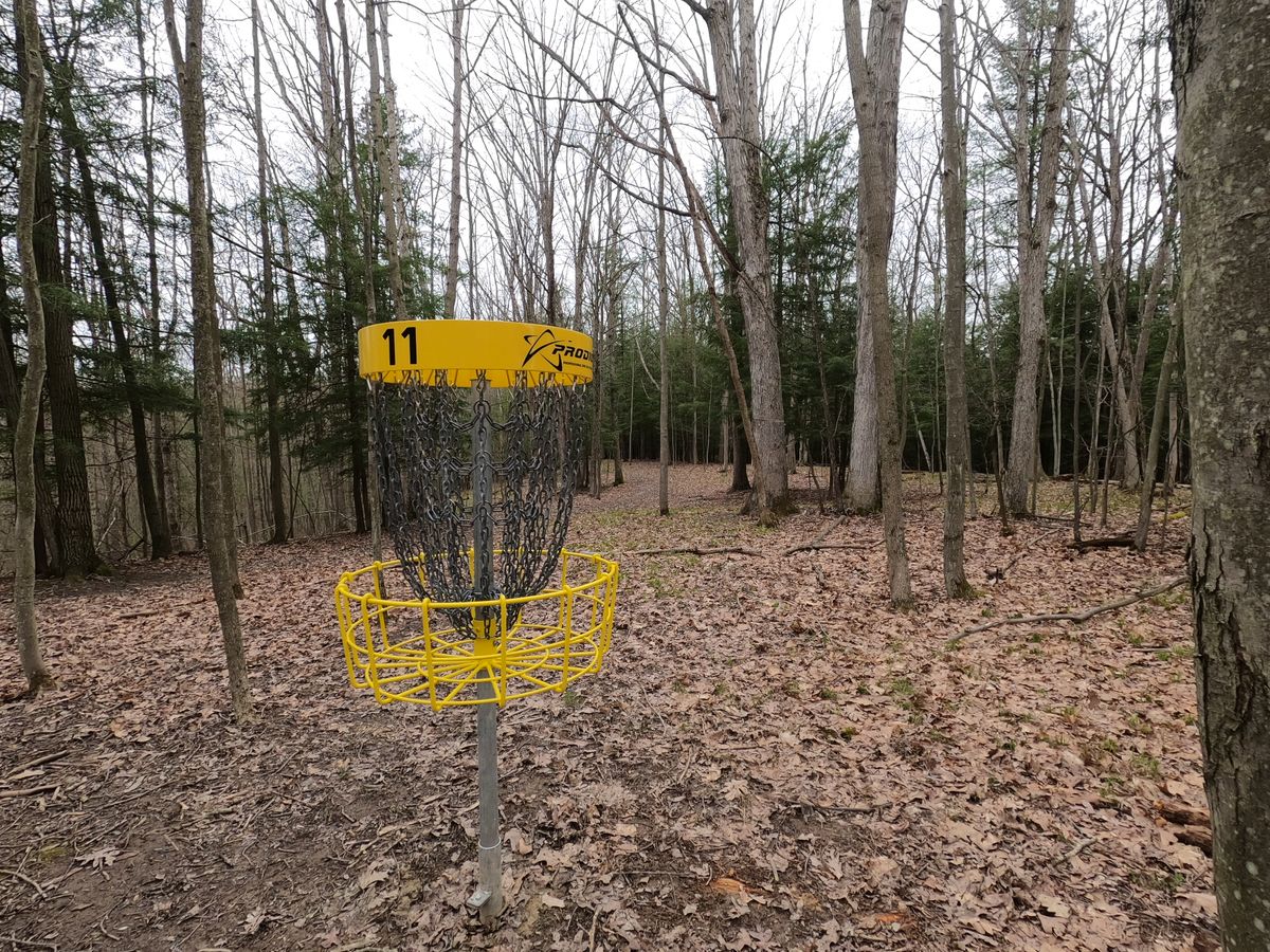 Hole #11 Basket