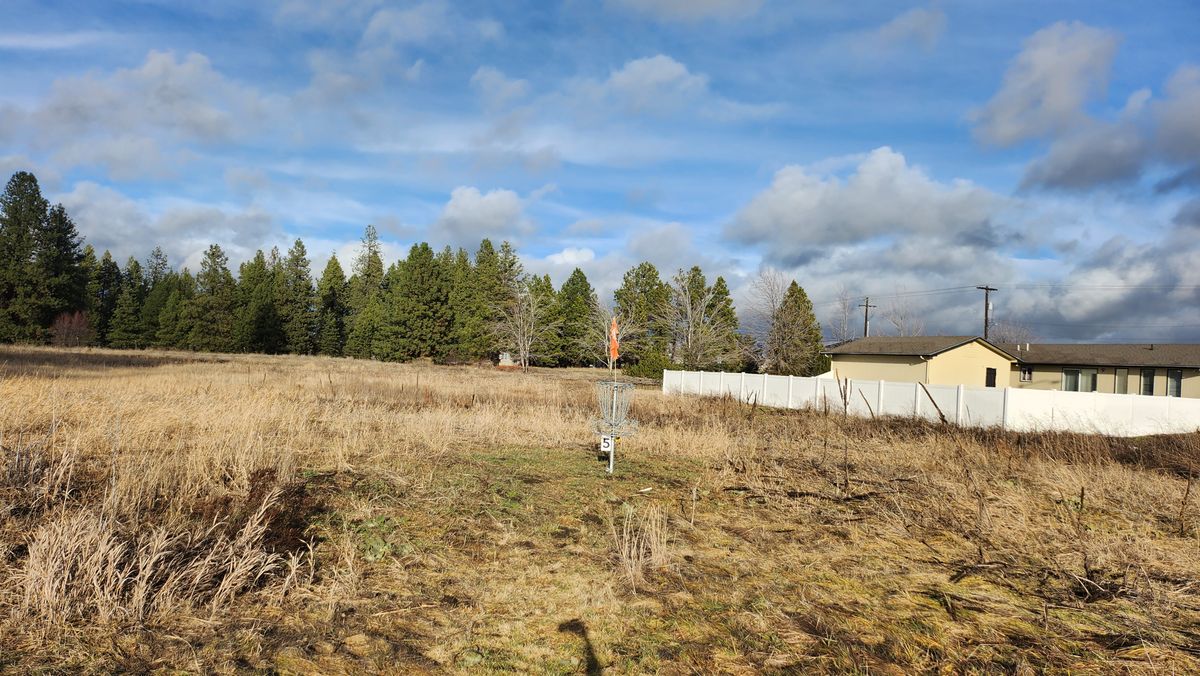 Hole 5 basket