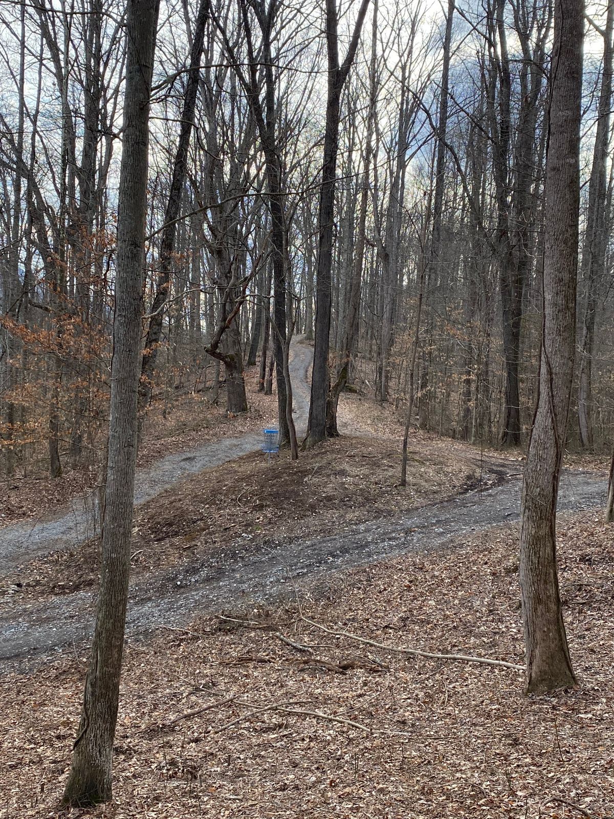 Hole 2 Green