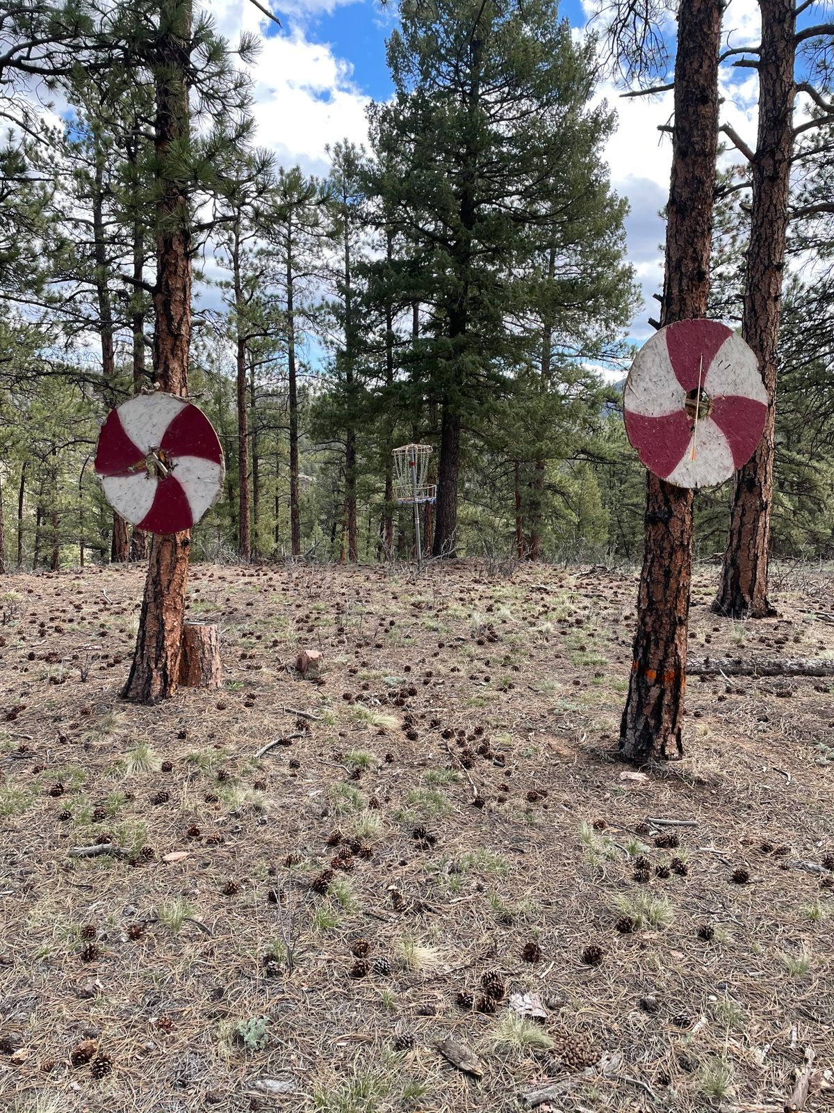 Viking Shields on Hole 12
