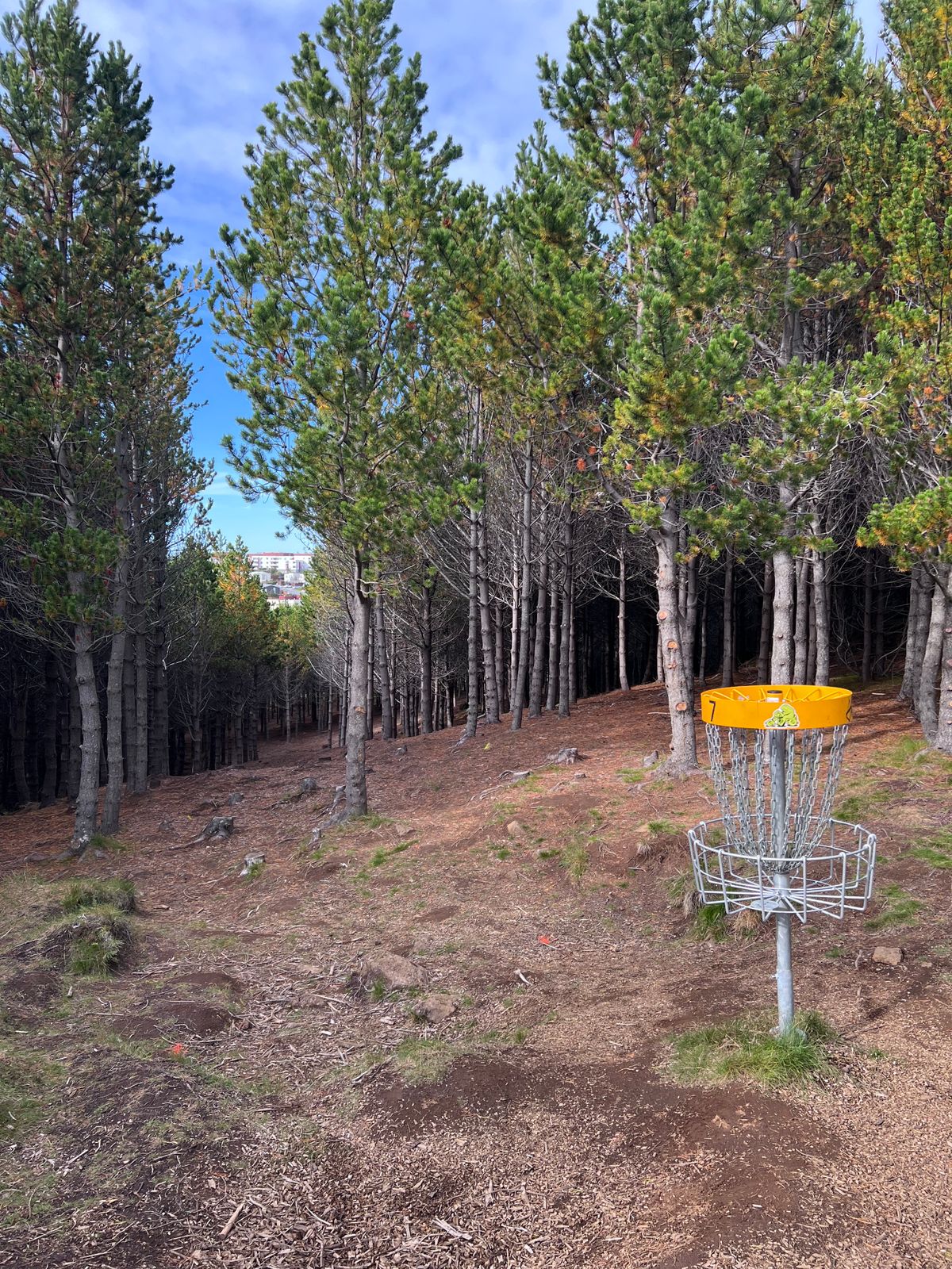 the biggest nightmare hole in the whole course :D