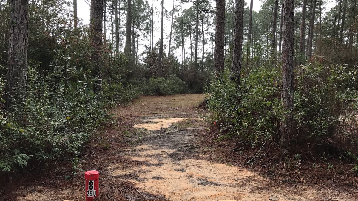 Hole 8