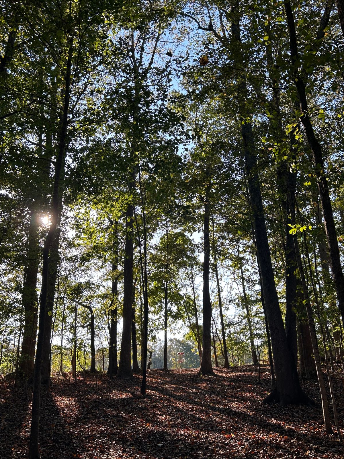 Hole 9