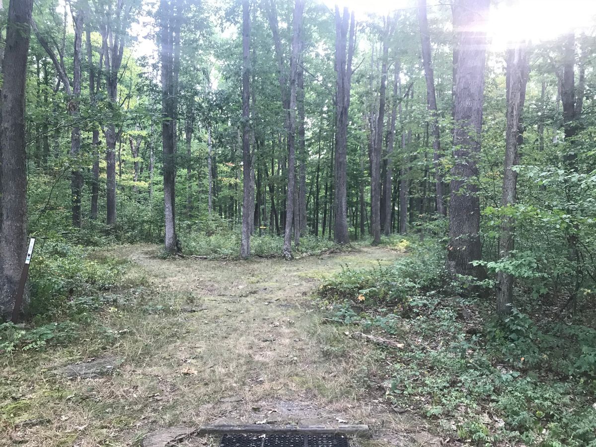 #6 tee/fairway/OB/basket
Par 3
diamond OB middle