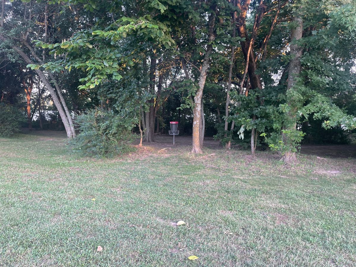 Hole 17 basket