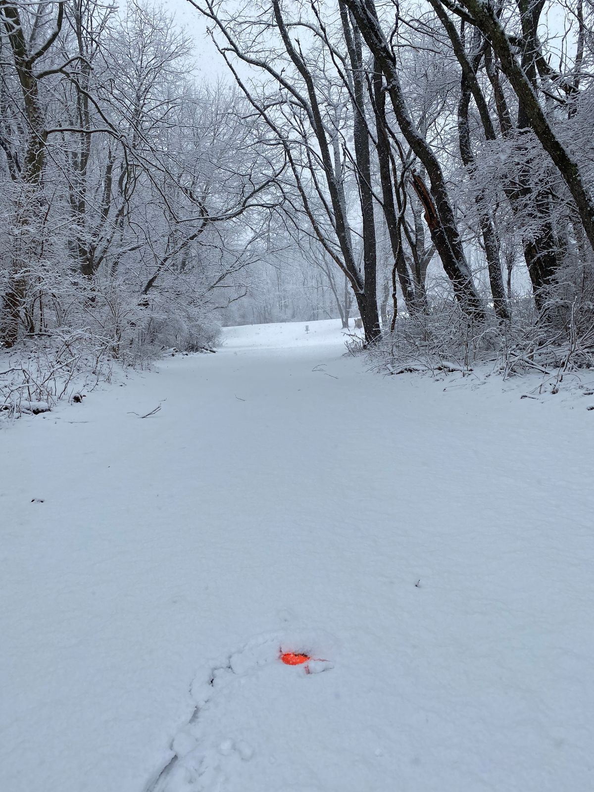 Old Monroeville Hole 7