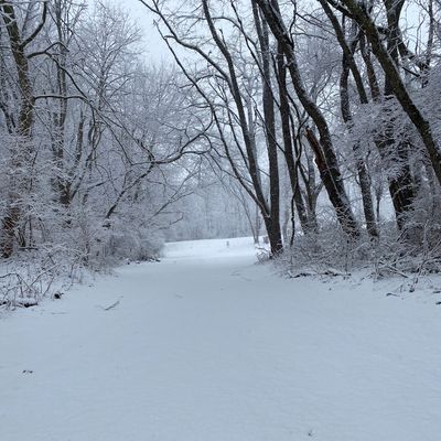 Hole 7 fairway