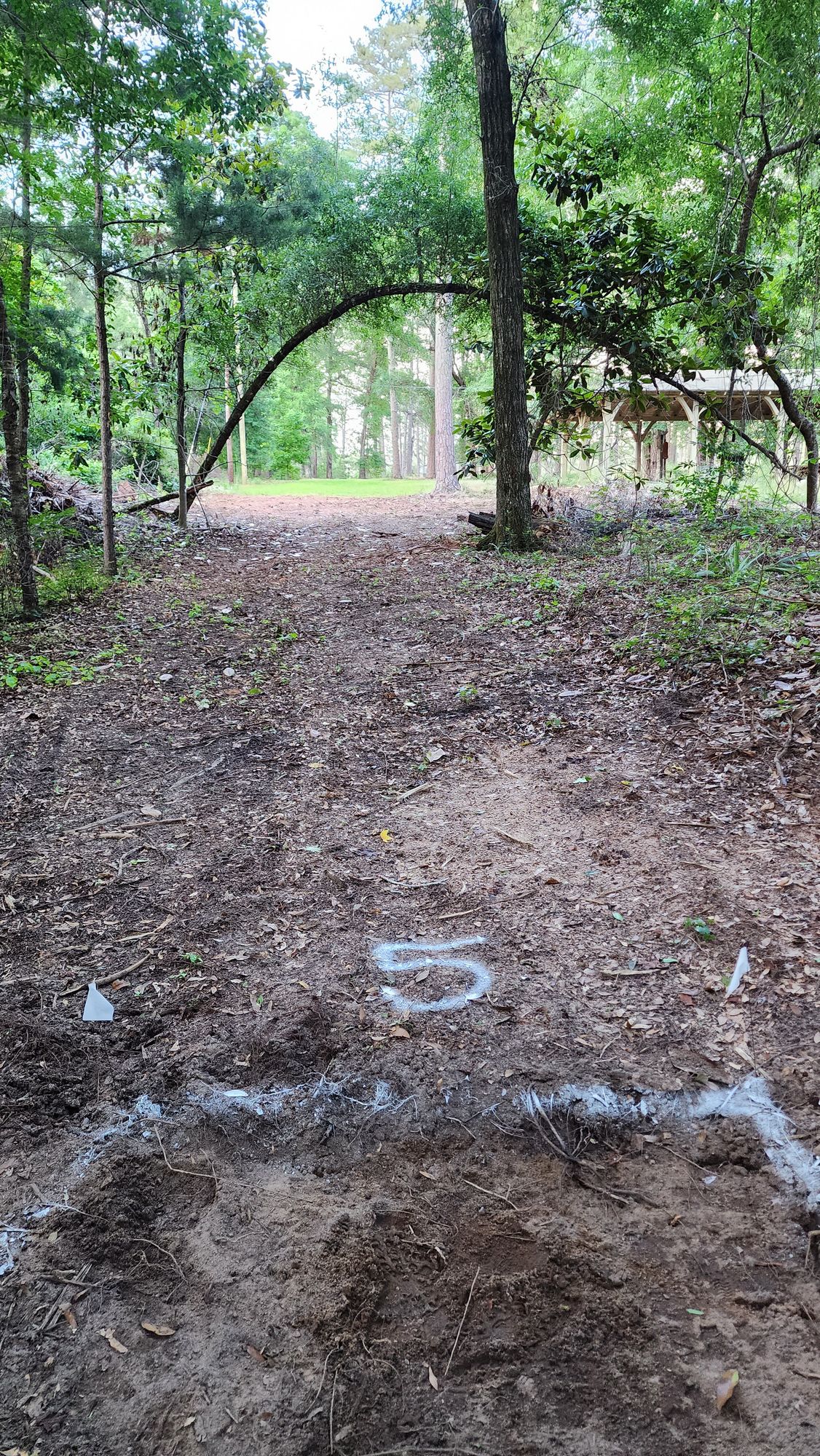 Hole 5 280'