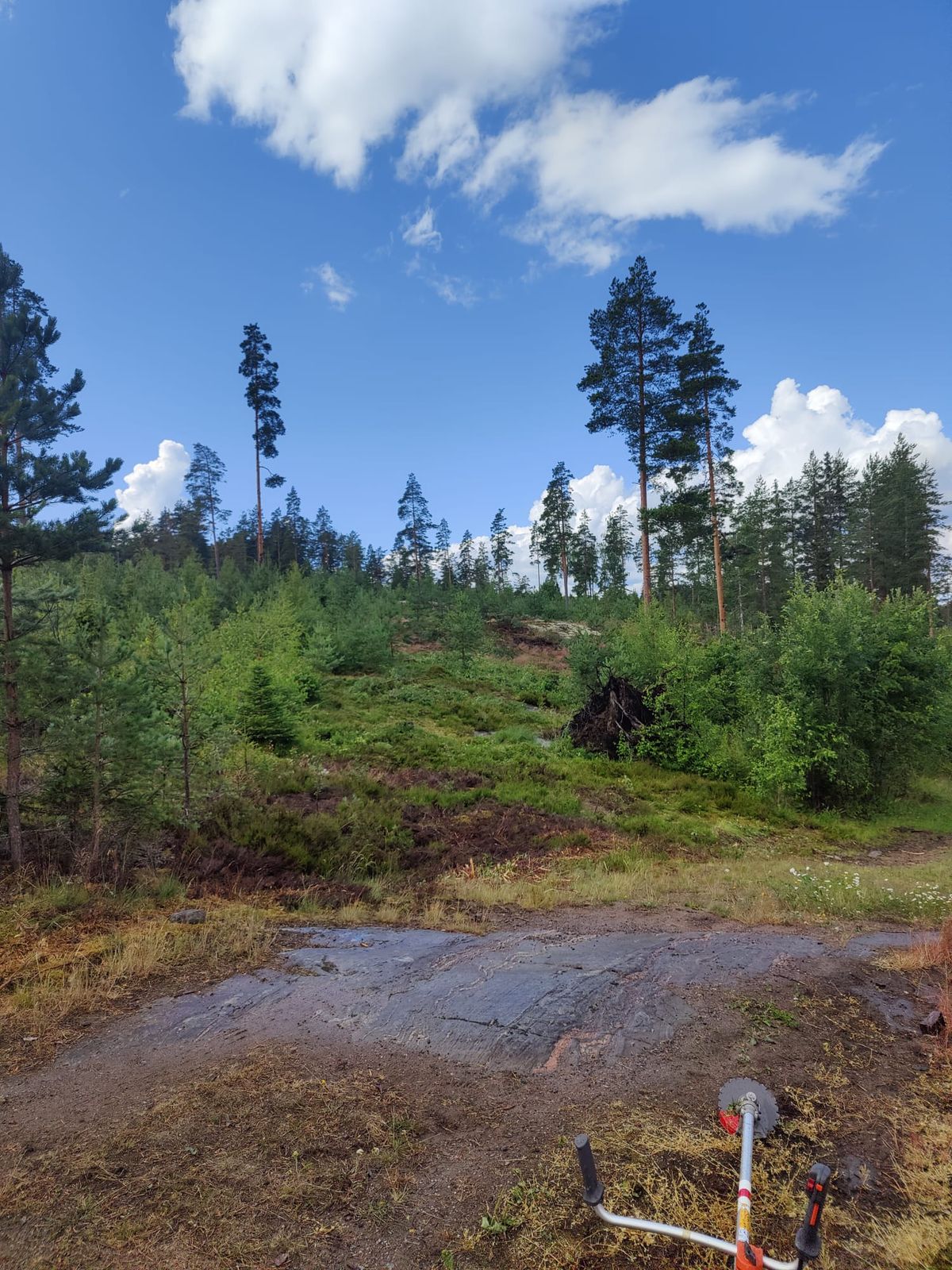 Väylä 5