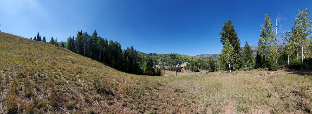 Hole 8, 288 ft., tee L, basket R, easily 150ft. vertical drop, blind corner.  The only hole of the first 9 that a spotter is a must.
