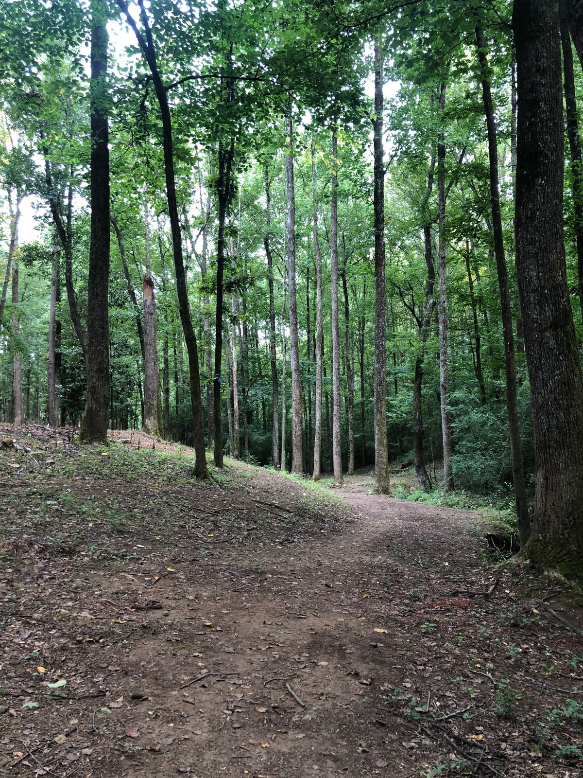 Hole 4