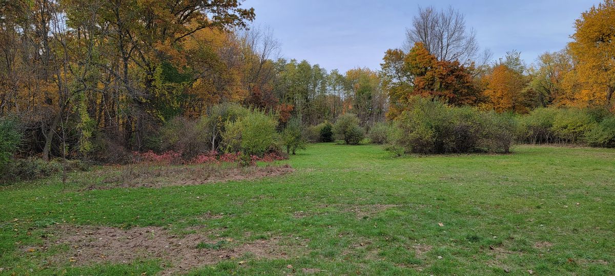 Hole 7