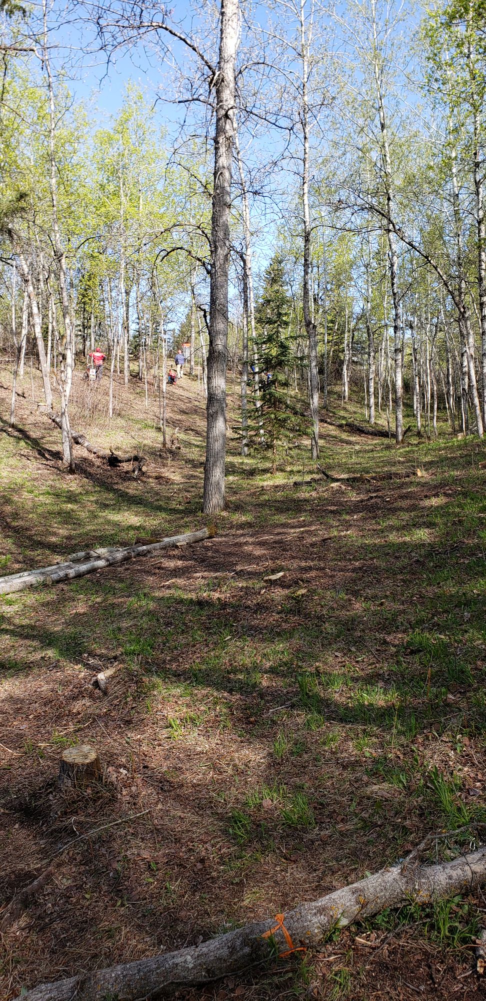 Hole 4 from Red/White Tee Box