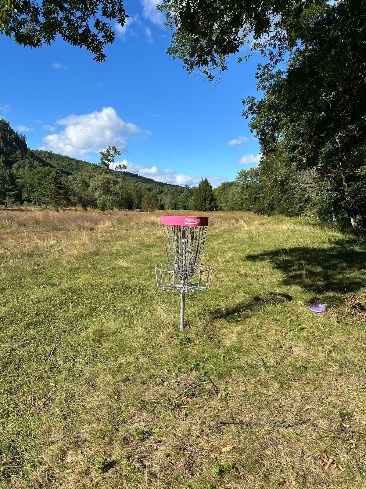 Some of the greens are pretty clear even with being overgrown