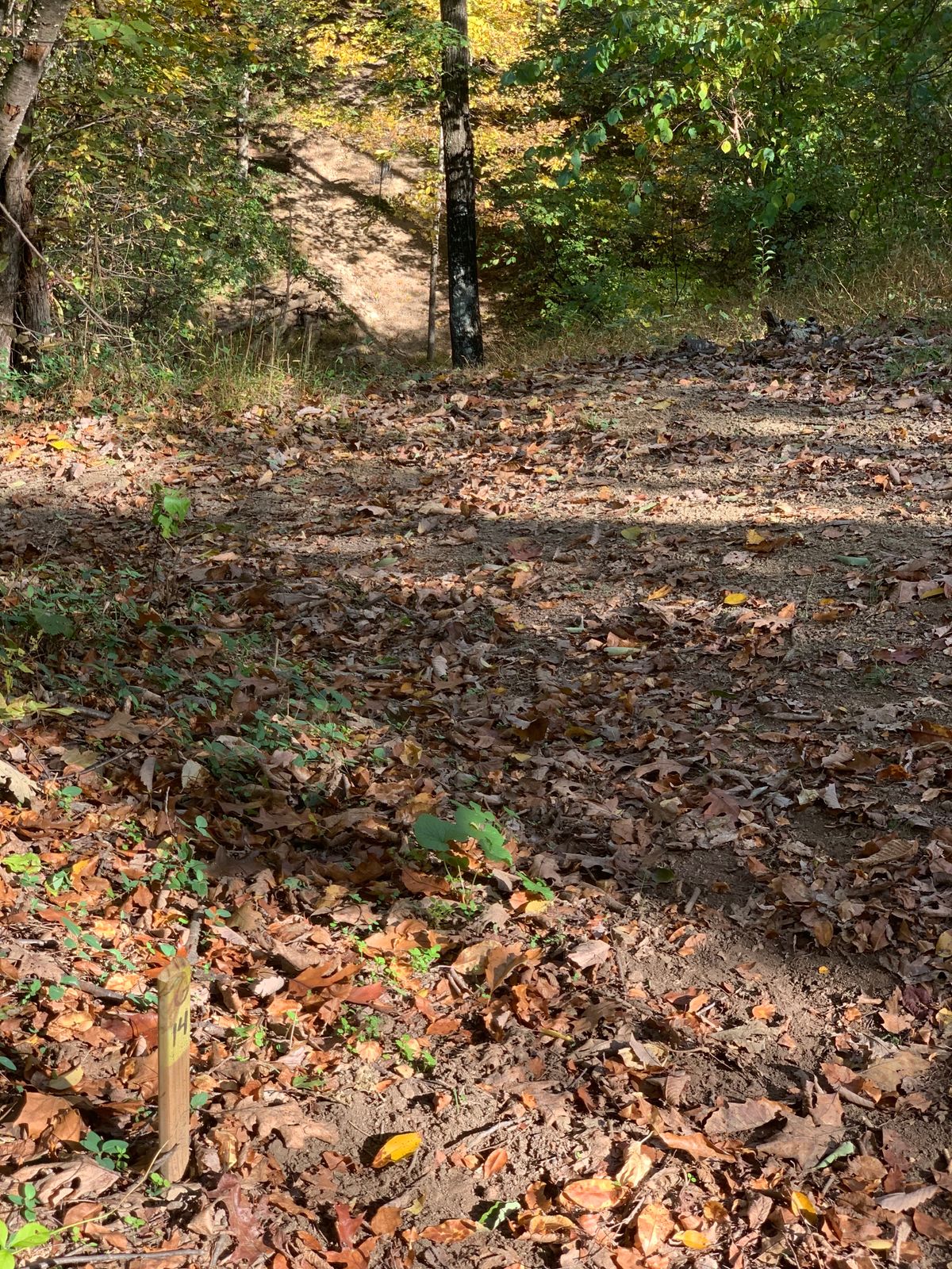 Hole 14. The one I would really love to ace. Steep down and across then back up to the basket.