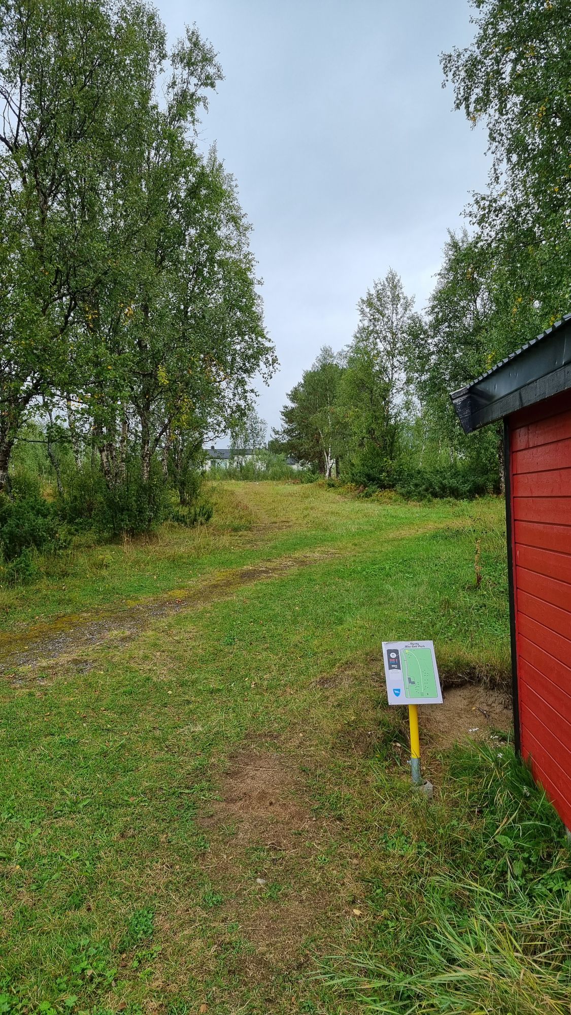 Tee 11