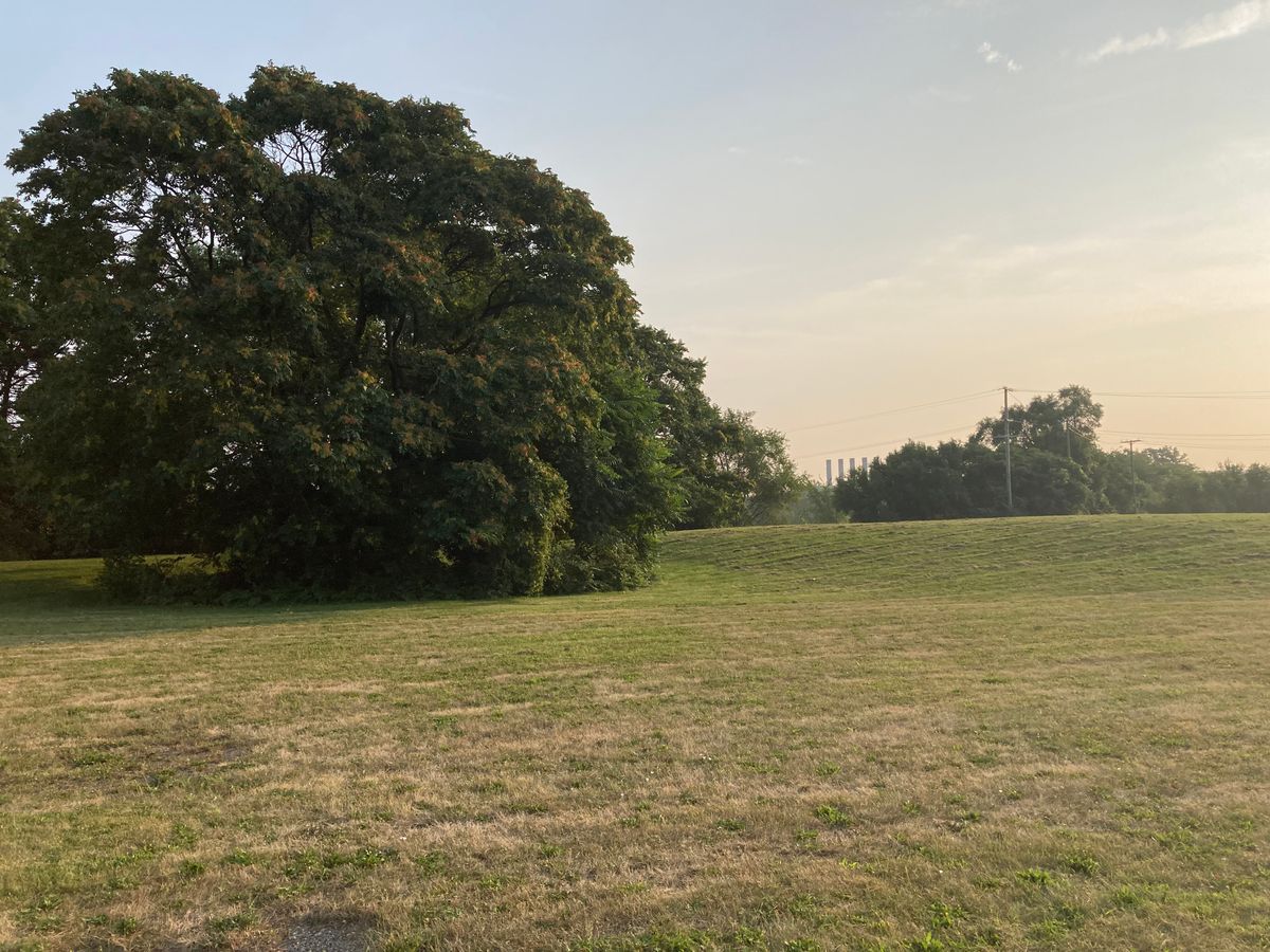 Long course #3 approach (mando right of large tree)