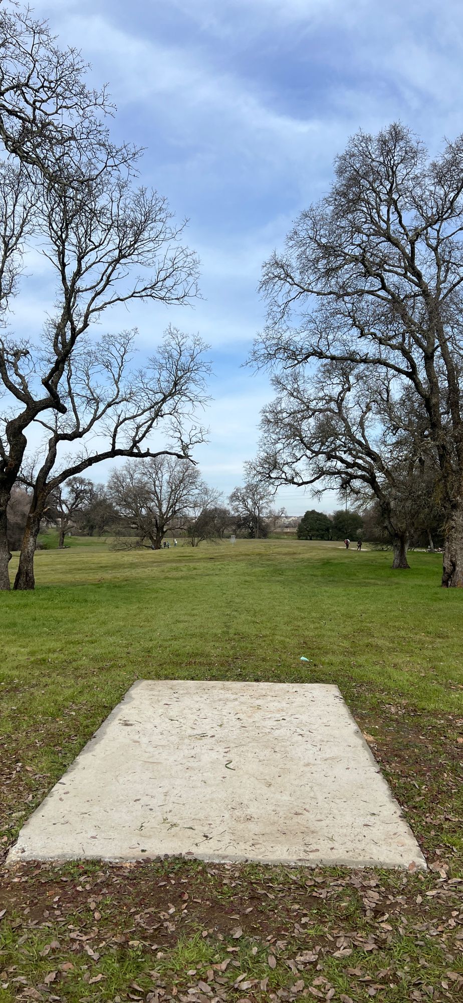Hole 4