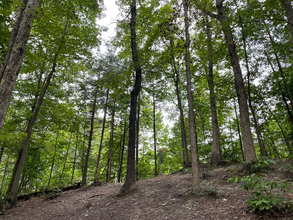 Hole 6 basket, there is a big drop right behind it