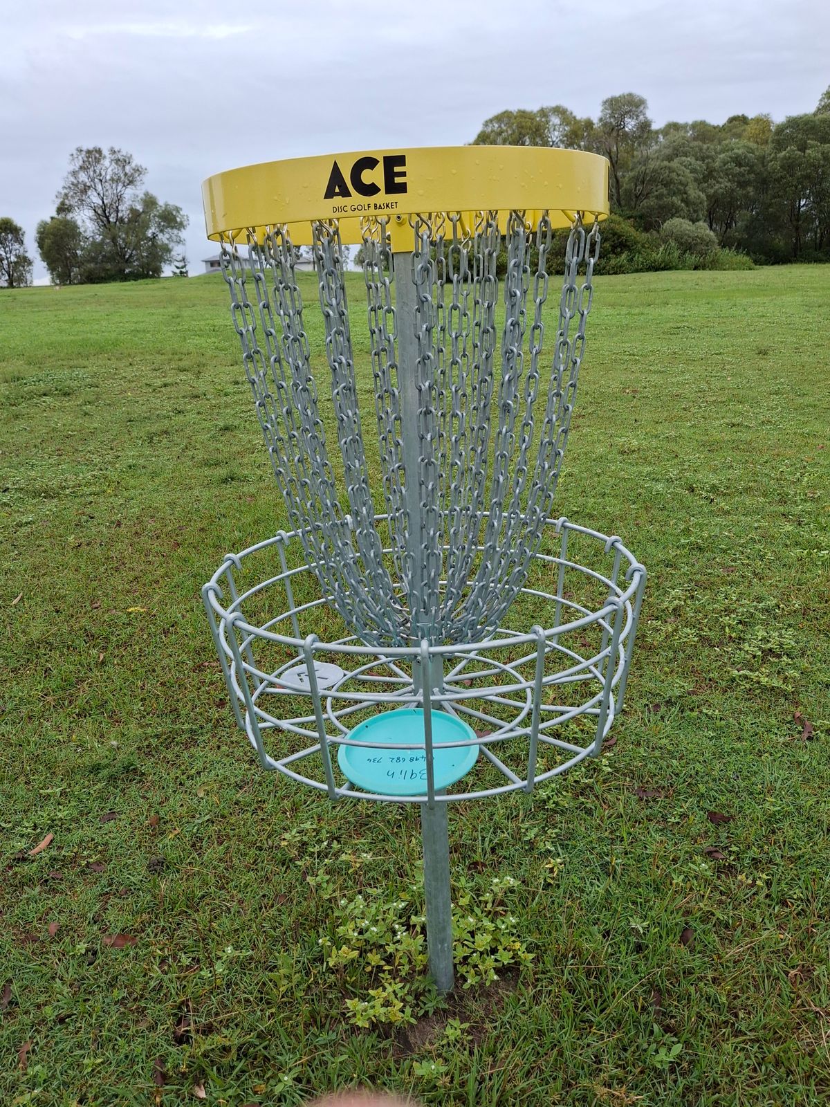 Ace rad basket