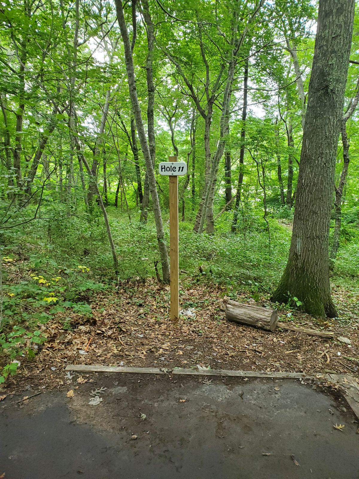On the back 9, signs look like this.