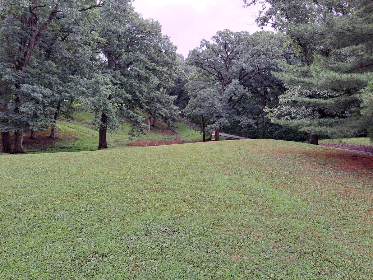 Hole 3 mid fairway