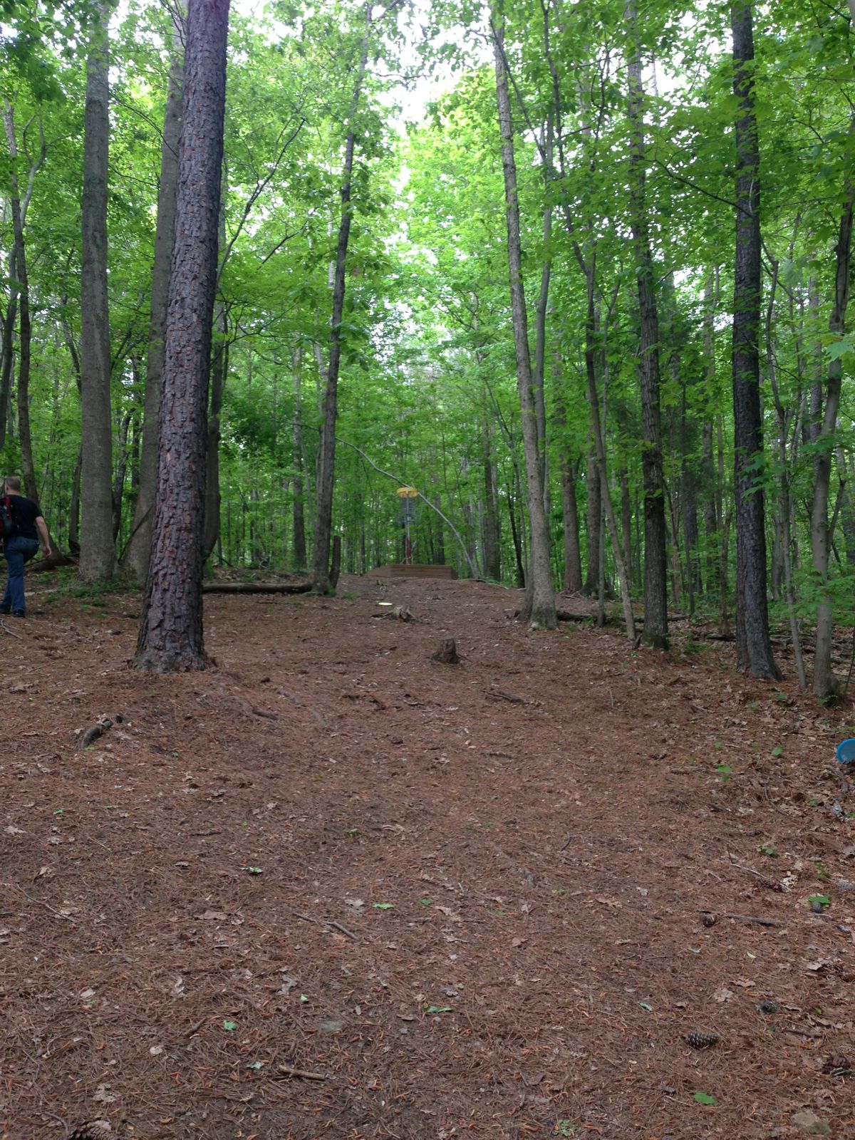 Hole 8