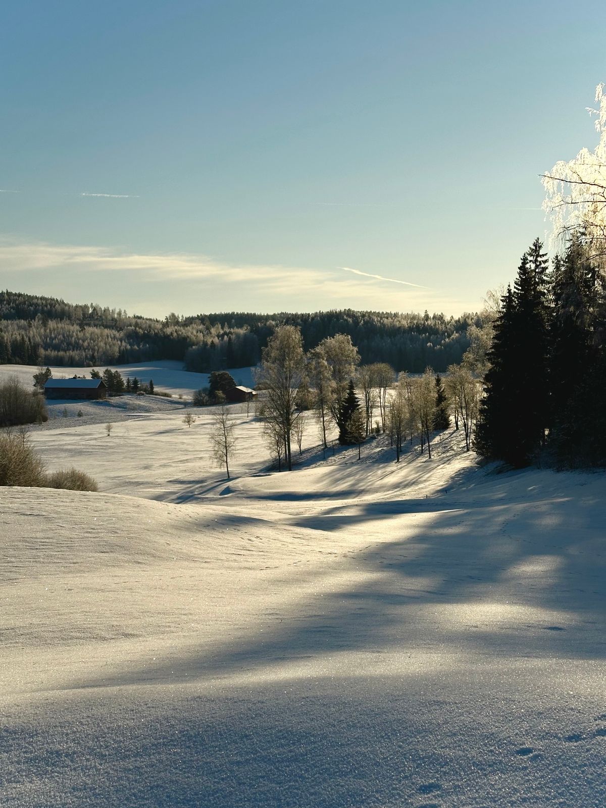 Fairway #1 right now.