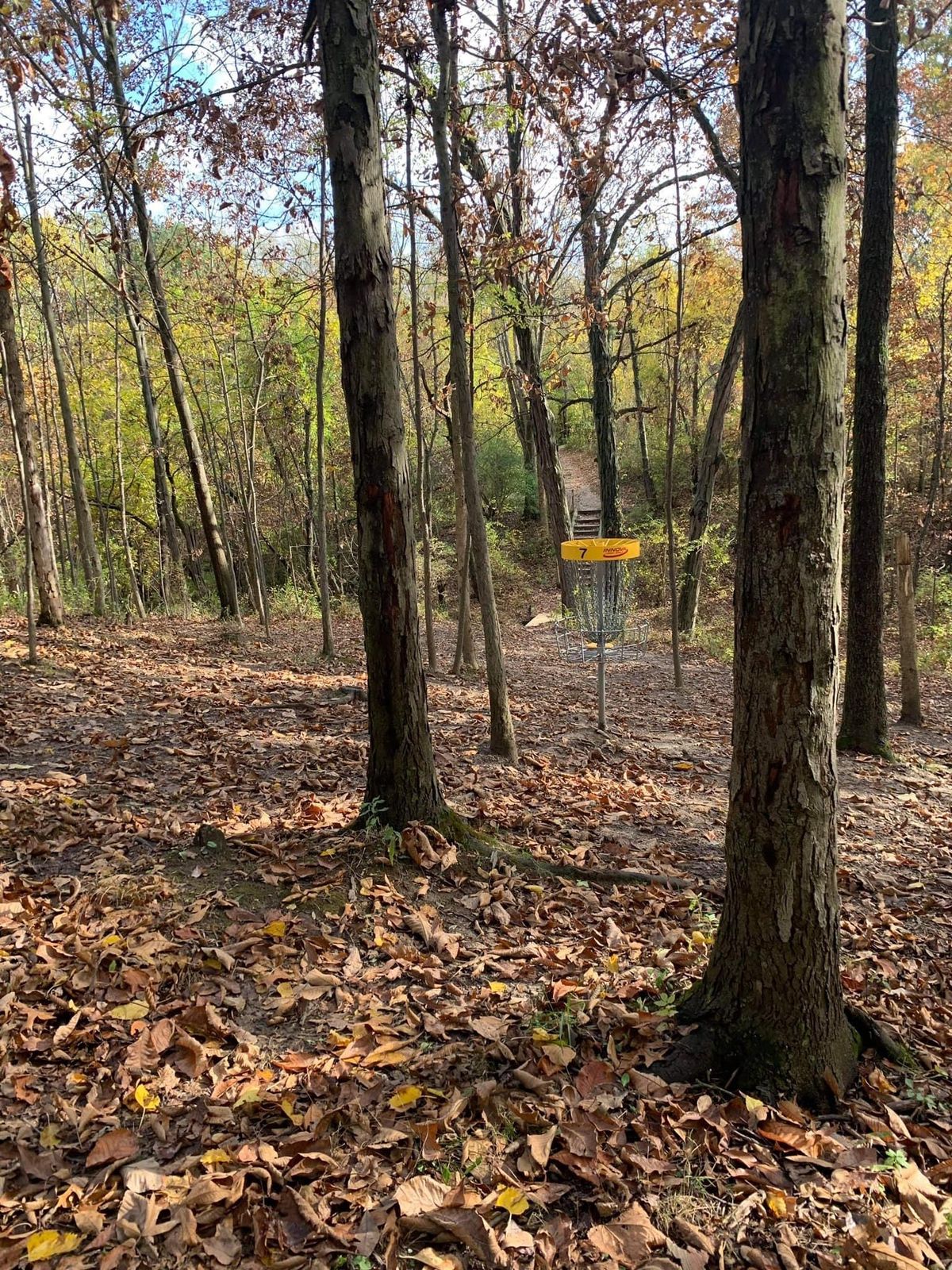 Hole 7 looking back at tee