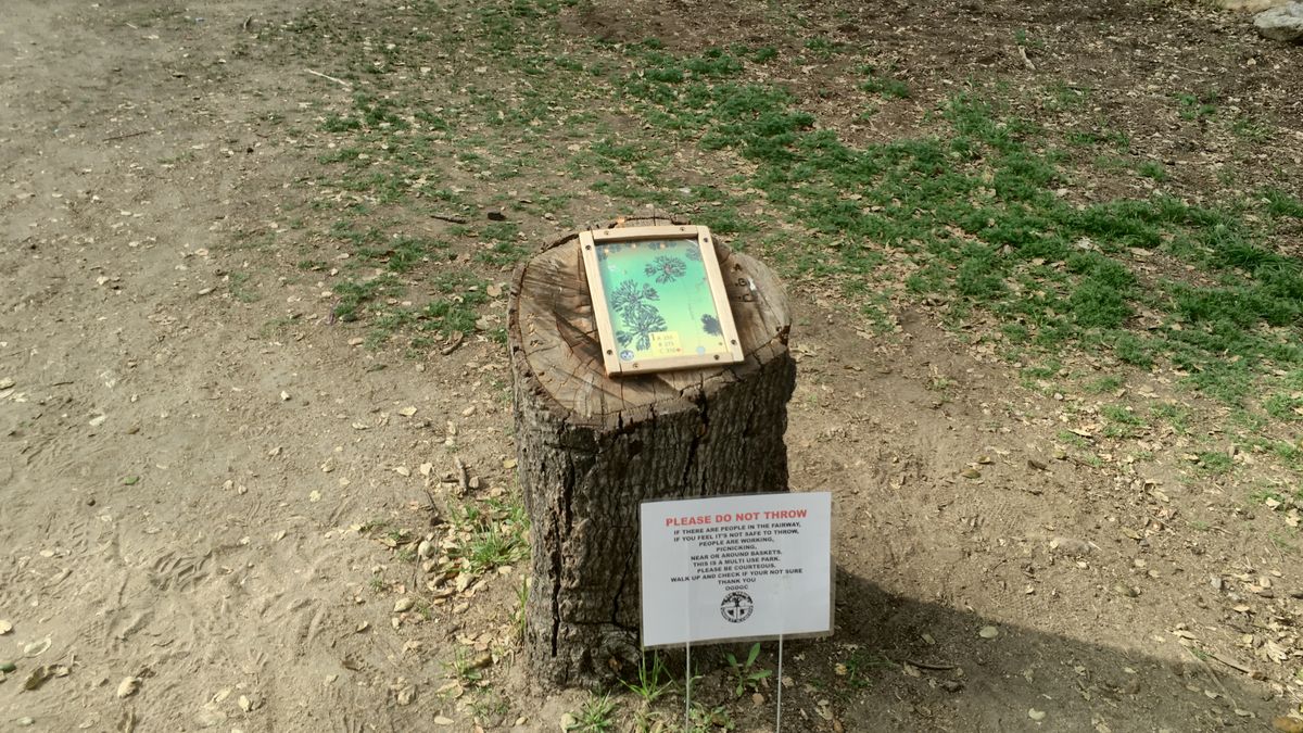 Hole 1