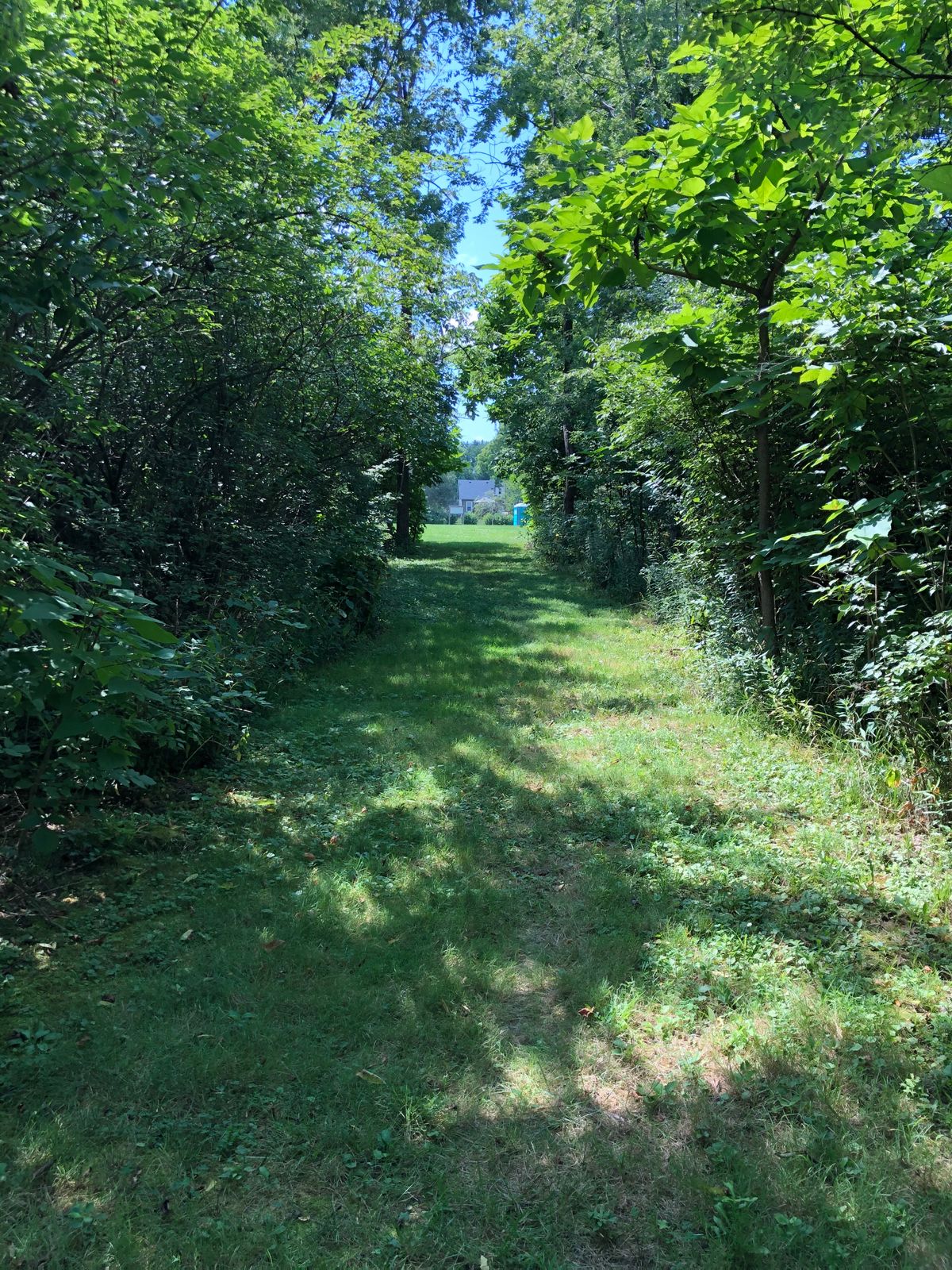 Tee 2: The bend in the wooded trail