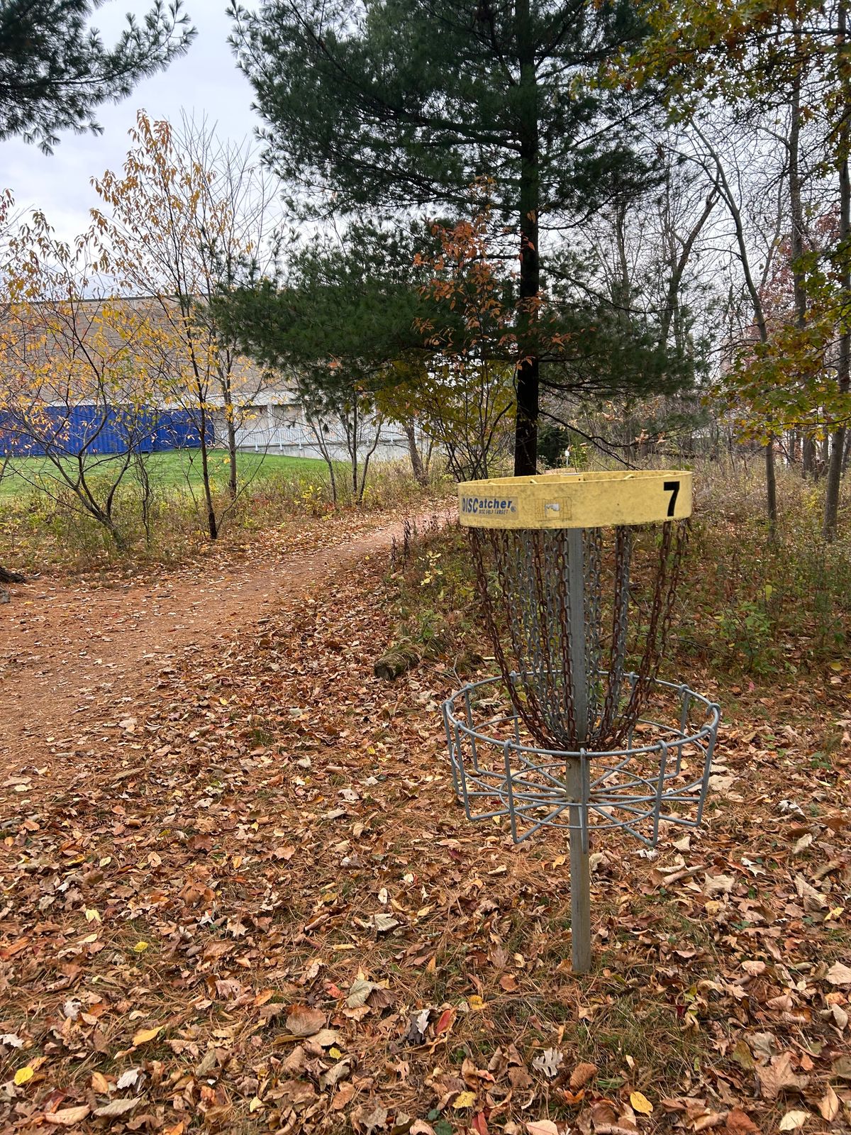 Hole 7 basket