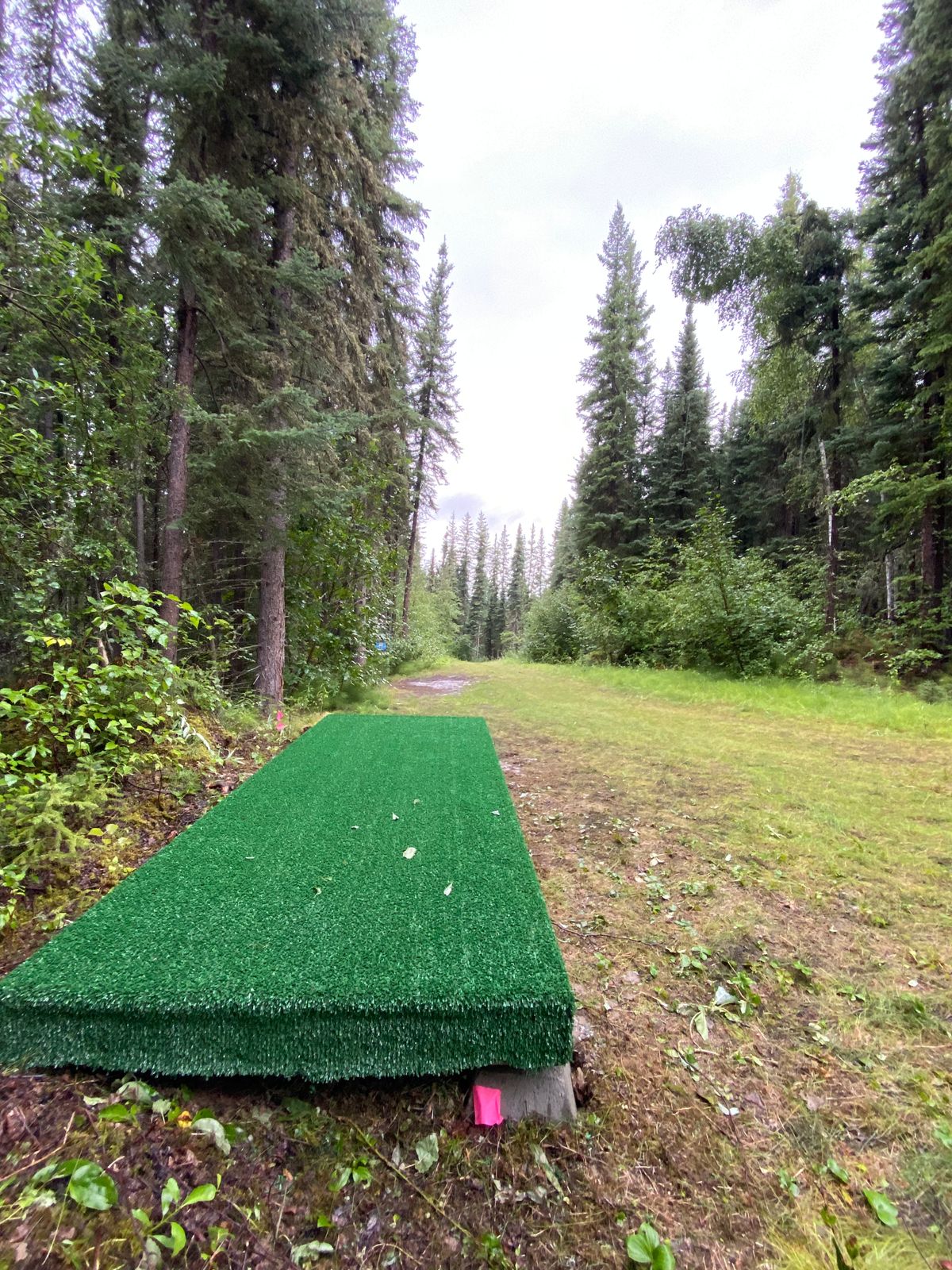 Hole 14 tee pad, basket through trees at the end of trail