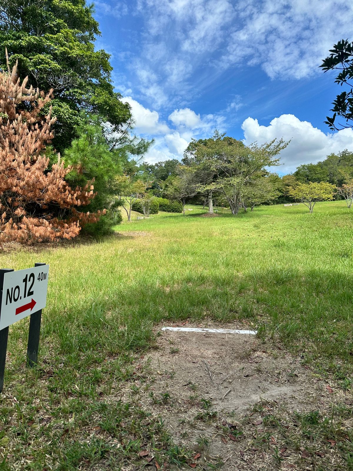 Hole 12