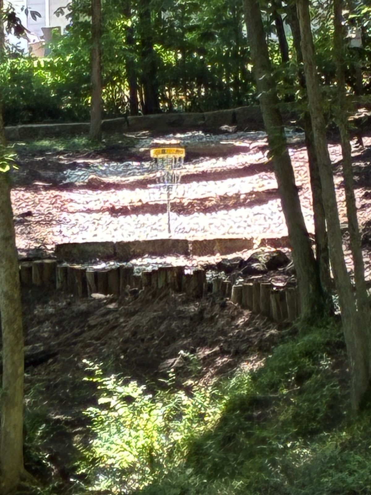 New erosion control on 8