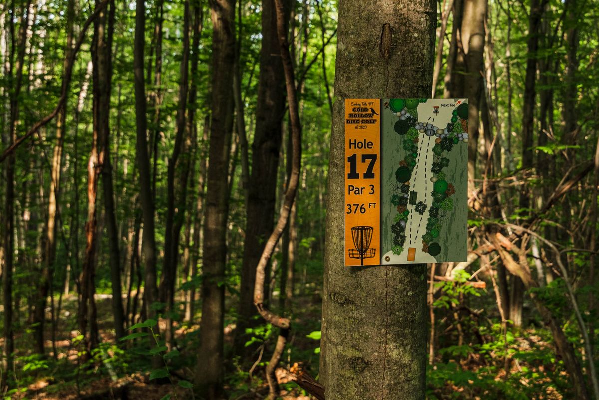 Hole 17 gold sign