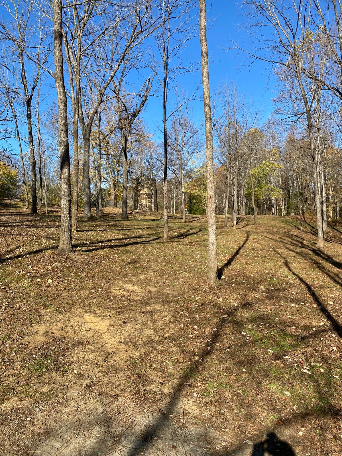 Hole 18 - lot of trees to clear to get up to the basket.