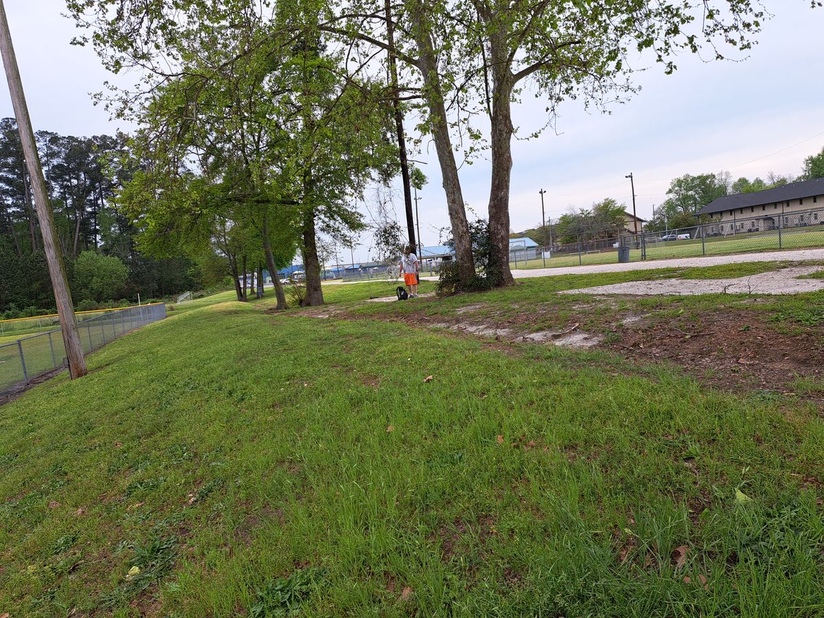 Hole 2. Looks to be 2 tee pads(?).