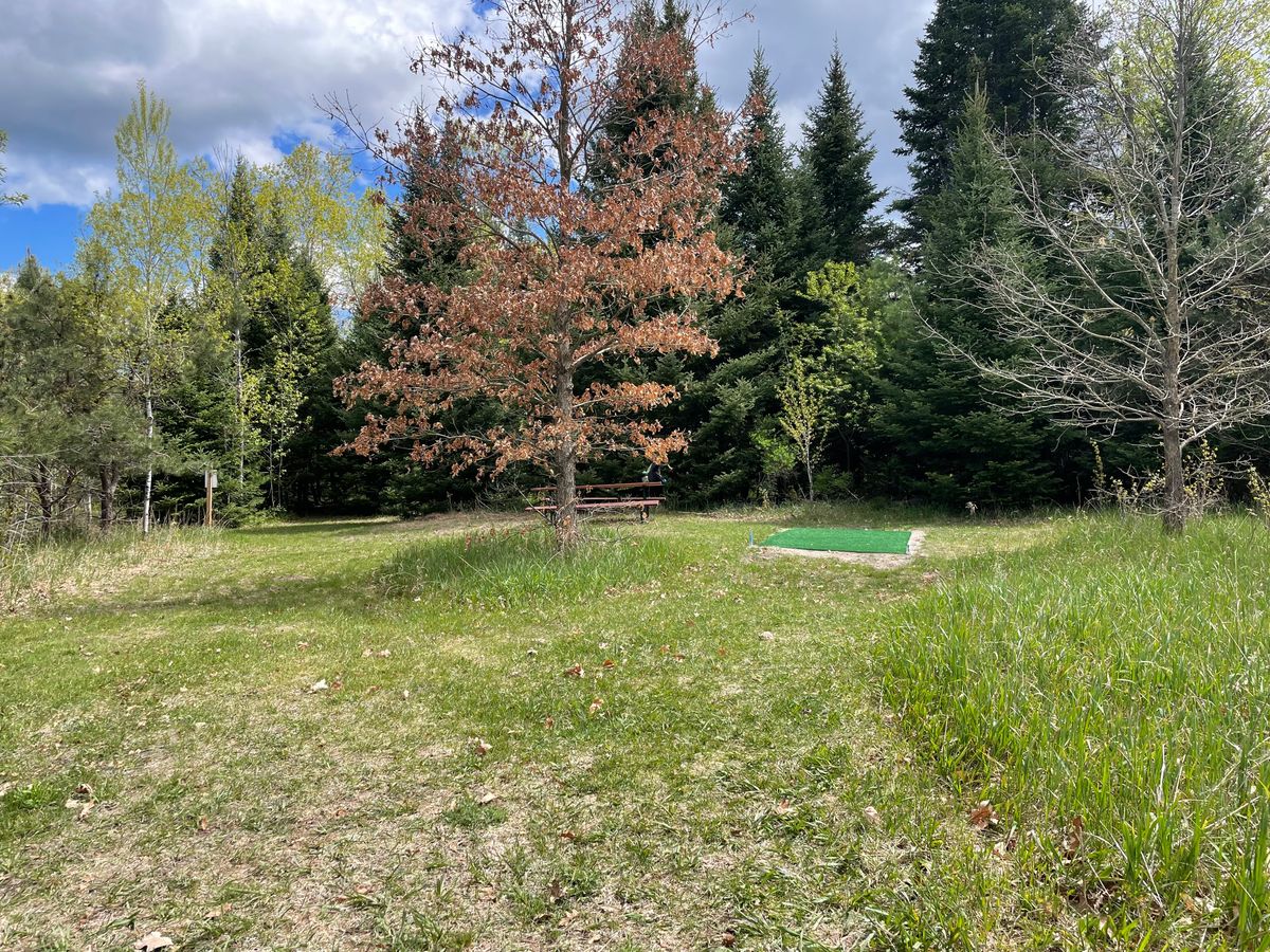 picnic table between gold and blue tees