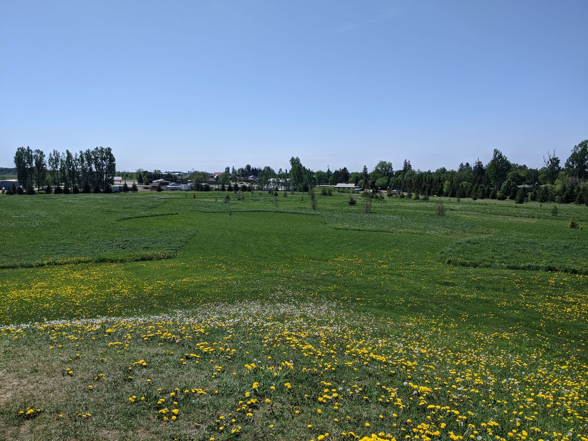 7 tee